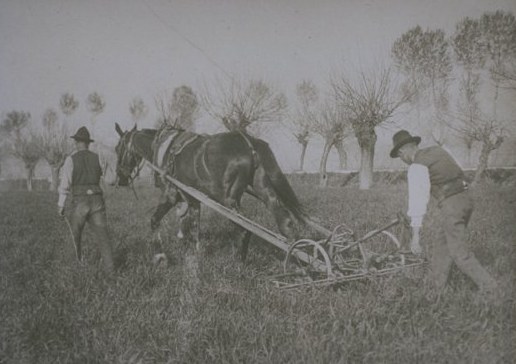 battaglia grano